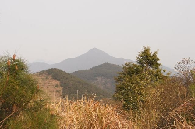 福州旗山在哪(福州旗山公园)