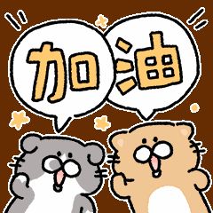 公积金在哪里申报(公积金在哪里办理)