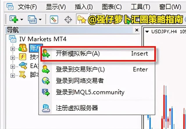 mt4在哪登录的简单介绍