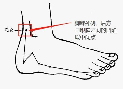 包含脚后缘在哪的词条