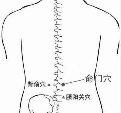 包含脚后缘在哪的词条