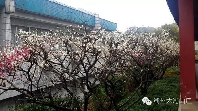 太湖山庄在哪(台州太湖山庄)