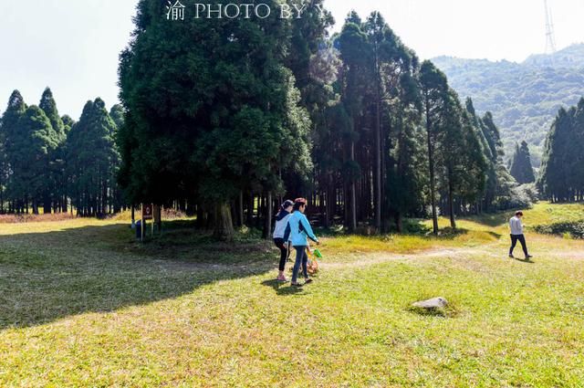 广西大容山在哪里(广西大容山自驾游攻略)