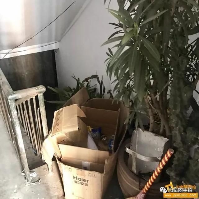 阳泉泰和新城在哪里(绵阳泰和新城在哪里)