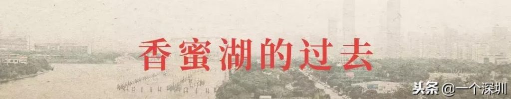 深圳香蜜湖在哪个区(深圳香蜜湖一号在哪个区)