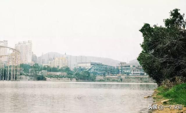 深圳香蜜湖在哪个区(深圳香蜜湖一号在哪个区)