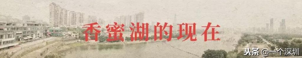 深圳香蜜湖在哪个区(深圳香蜜湖一号在哪个区)