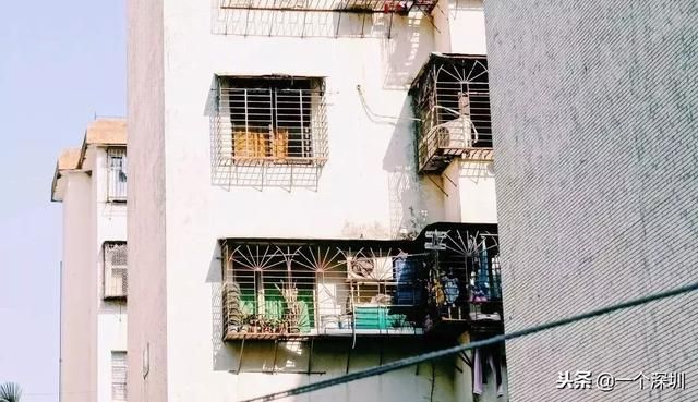 深圳香蜜湖在哪个区(深圳香蜜湖一号在哪个区)