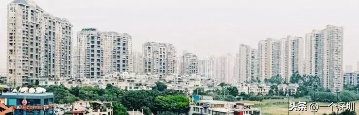 深圳香蜜湖在哪个区(深圳香蜜湖一号在哪个区)