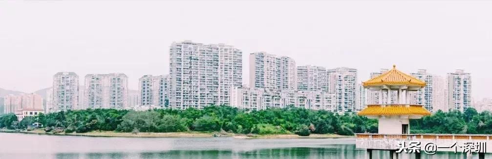 深圳香蜜湖在哪个区(深圳香蜜湖一号在哪个区)