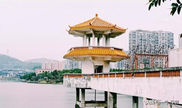 深圳香蜜湖在哪个区(深圳香蜜湖一号在哪个区)