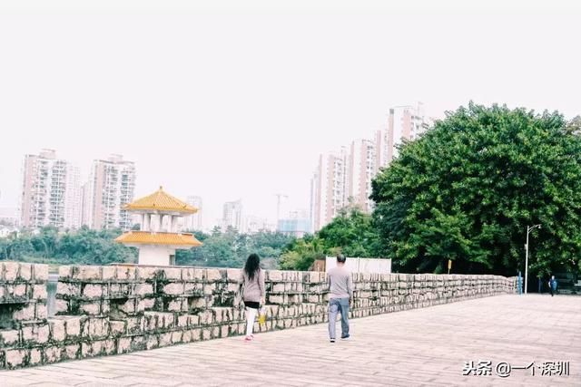 深圳香蜜湖在哪个区(深圳香蜜湖一号在哪个区)