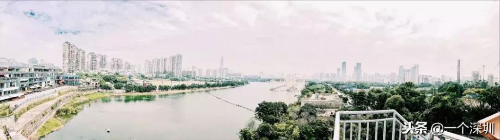 深圳香蜜湖在哪个区(深圳香蜜湖一号在哪个区)
