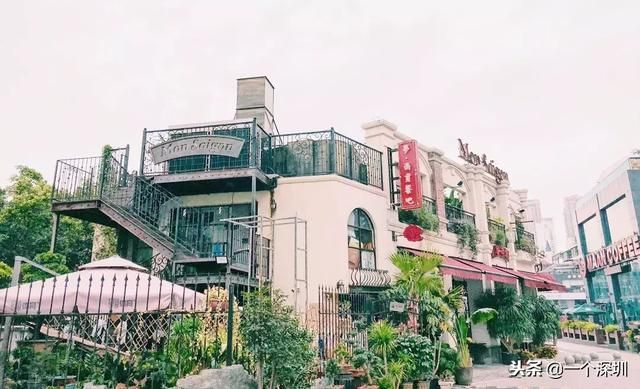 深圳香蜜湖在哪个区(深圳香蜜湖一号在哪个区)