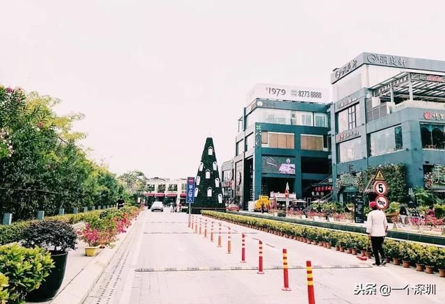 深圳香蜜湖在哪个区(深圳香蜜湖一号在哪个区)