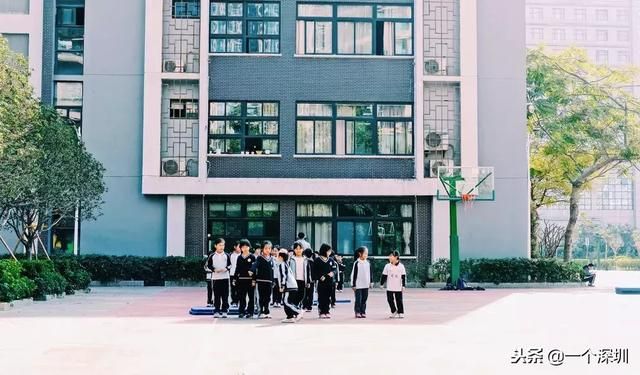 深圳香蜜湖在哪个区(深圳香蜜湖一号在哪个区)