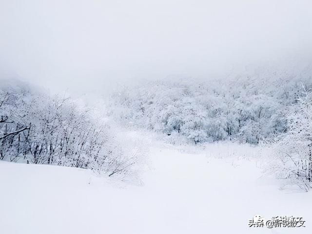 问朋友在哪(问朋友的真心话的问题)
