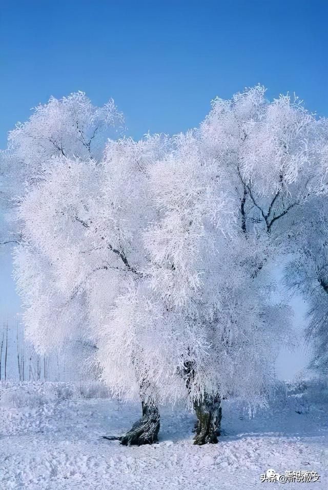 问朋友在哪(问朋友的真心话的问题)