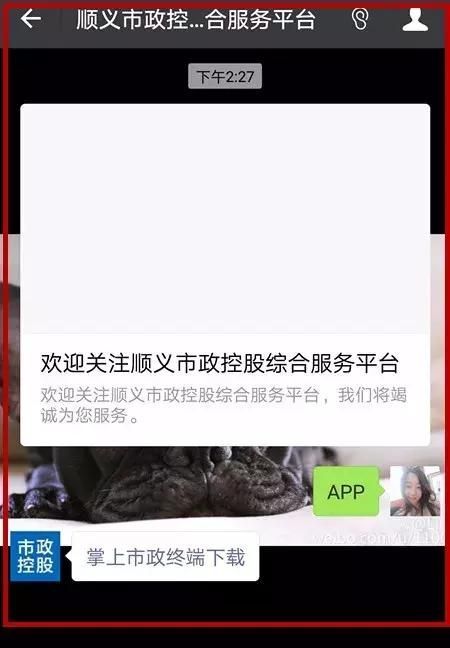 重庆市政app注册登录(重庆市政府app下载)