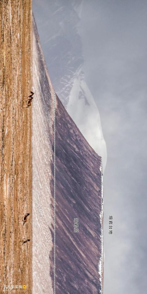 包含火山带在哪里的词条