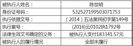 包含昆明失信人员信息查询的词条