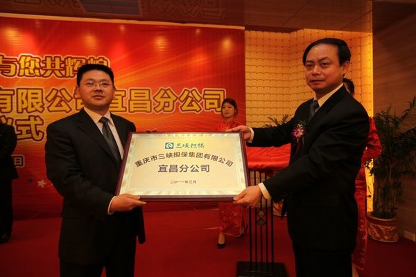 重庆融资担保公司(重庆融资担保公司哪家好)