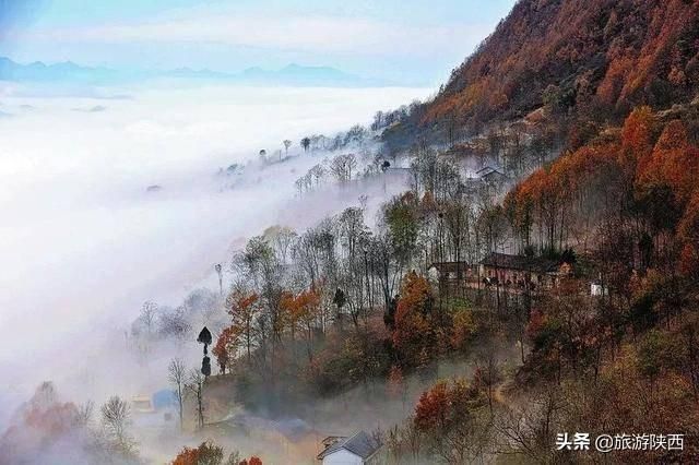云来山在哪(云来山更佳作文)