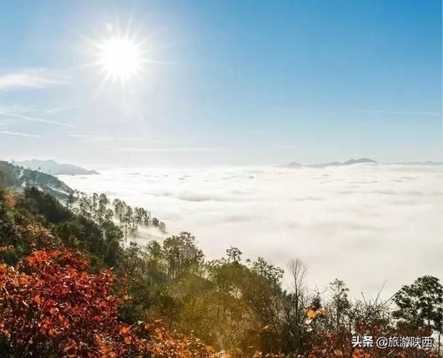 云来山在哪(云来山更佳作文)
