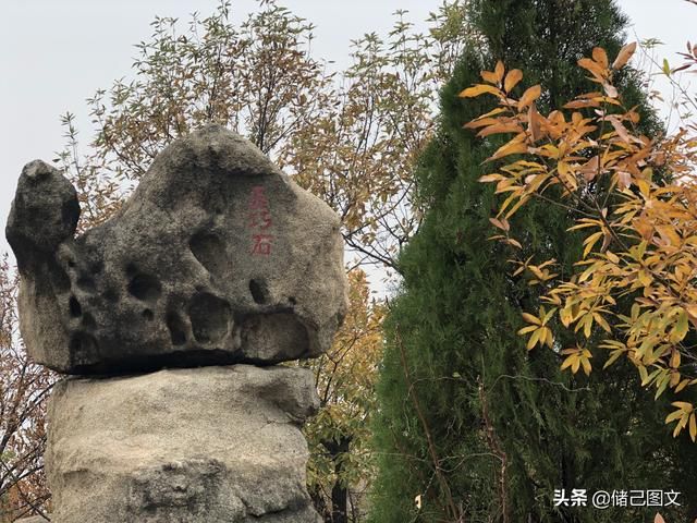 岱在哪里(呆在那里还是待在哪里)