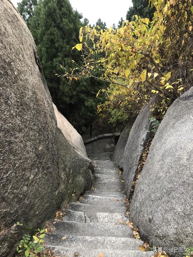 岱在哪里(呆在那里还是待在哪里)