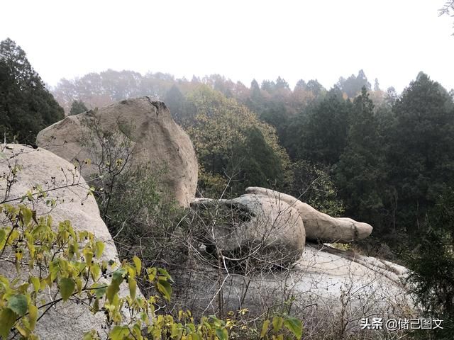 岱在哪里(呆在那里还是待在哪里)