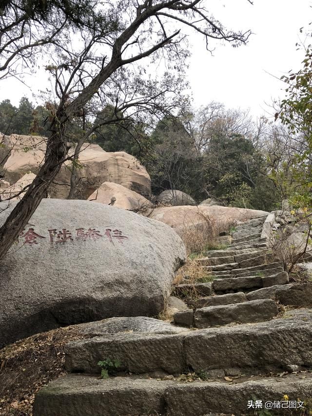 岱在哪里(呆在那里还是待在哪里)