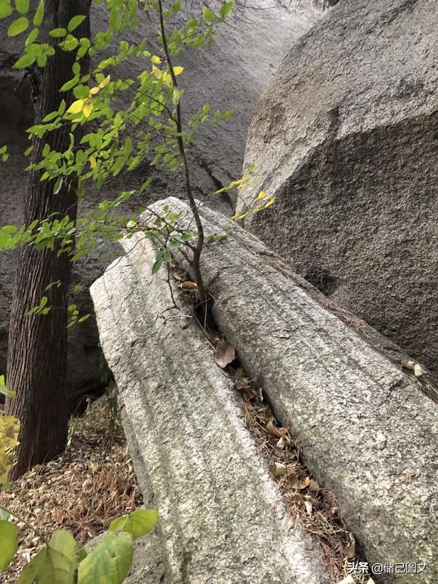 岱在哪里(呆在那里还是待在哪里)