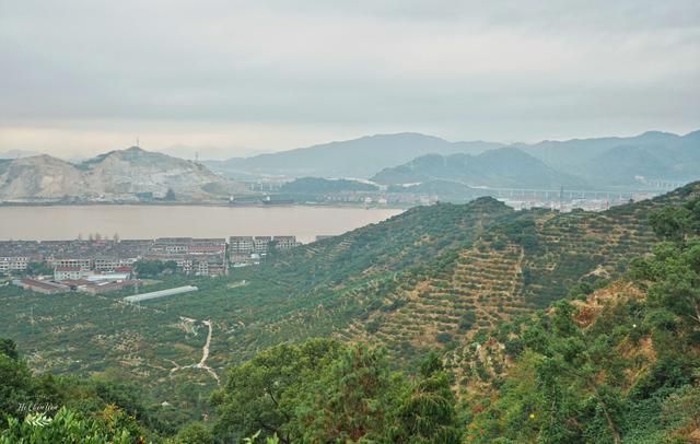 蜜橘在哪(蜜橘在哪生产)