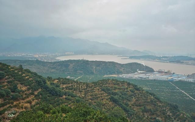 蜜橘在哪(蜜橘在哪生产)