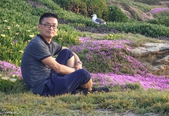 美国的圣地亚哥在哪里(美国圣地亚哥房价大概多少)