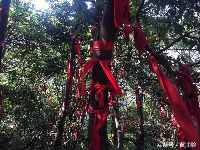 张家界天门山在哪(张家界天门山图片)