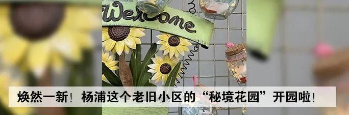 妇科医院在哪里(妇科医院在线咨询免费)
