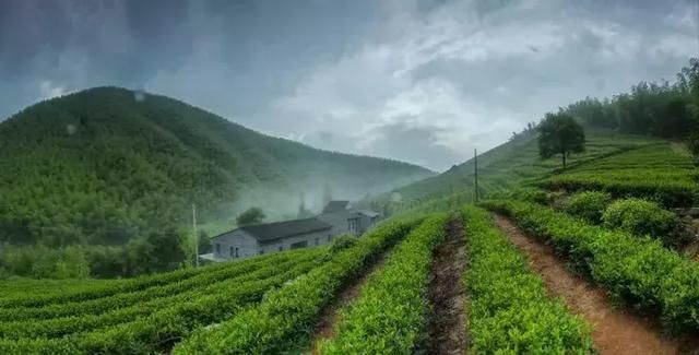 莫干山蚕乐谷在哪里(莫干山蚕乐谷) 莫干山蚕乐谷在哪里(莫干山蚕乐谷)
