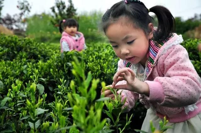 莫干山蚕乐谷在哪里(莫干山蚕乐谷) 莫干山蚕乐谷在哪里(莫干山蚕乐谷)
