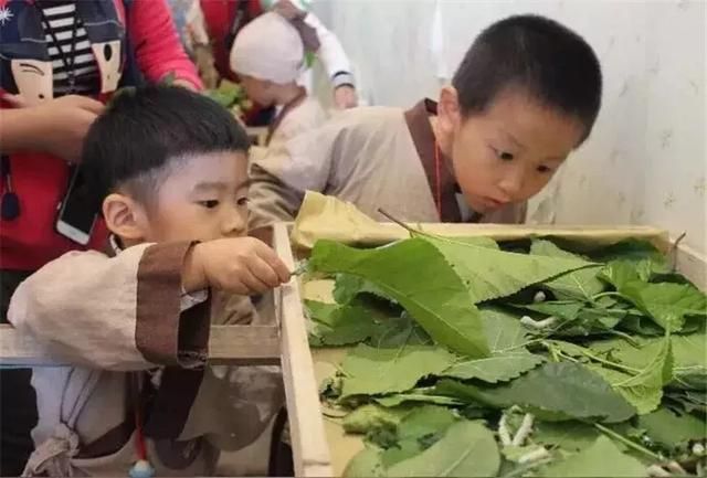 莫干山蚕乐谷在哪里(莫干山蚕乐谷) 莫干山蚕乐谷在哪里(莫干山蚕乐谷)