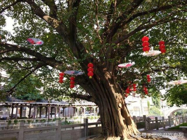 广州东涌水乡在哪里(广州的水乡在哪里)