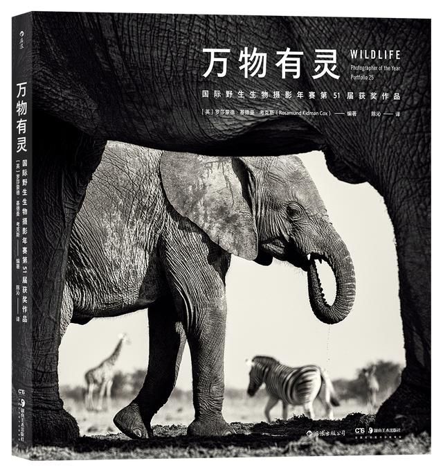 51空间相册管理在哪里(51个人空间登录旧版)