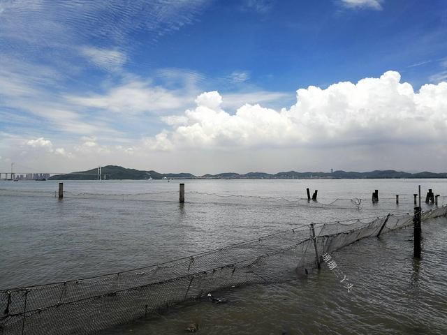 大海公园在哪(世界十大海洋馆)