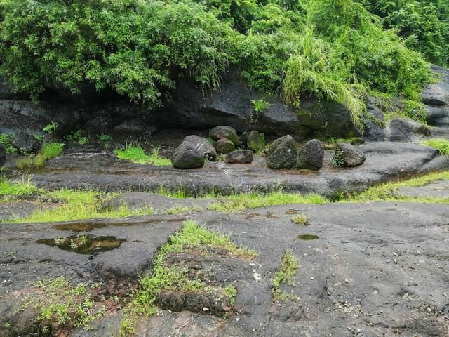 大海公园在哪(世界十大海洋馆)