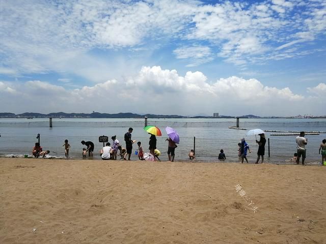大海公园在哪(世界十大海洋馆)