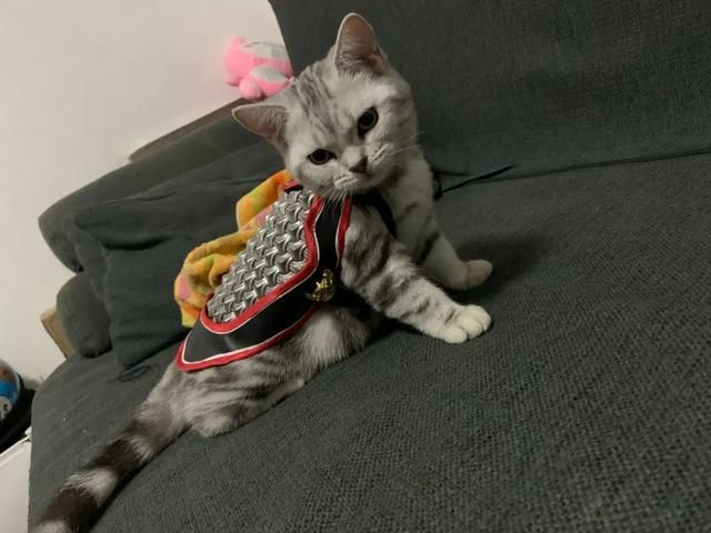 汉服在哪儿买的简单介绍