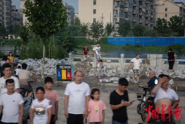 新乡市宠物市场在哪(新乡哪有正规的宠物市场)