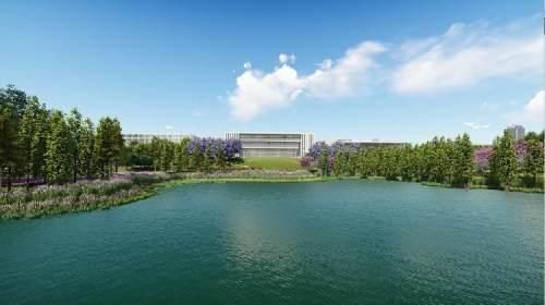 沙坪坝区五云公园地址(沙坪坝区五云实验学校简介)