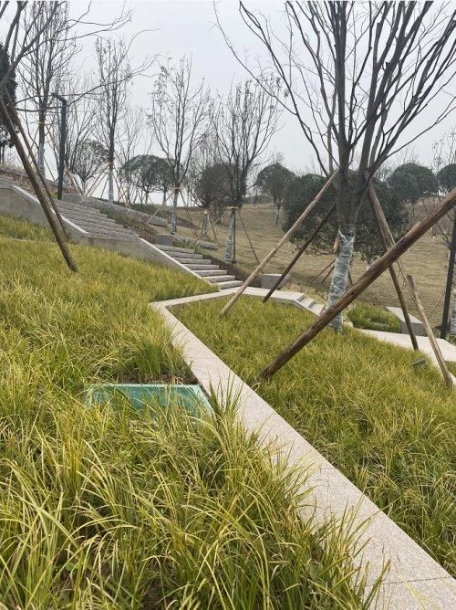 沙坪坝区五云公园地址(沙坪坝区五云实验学校简介)